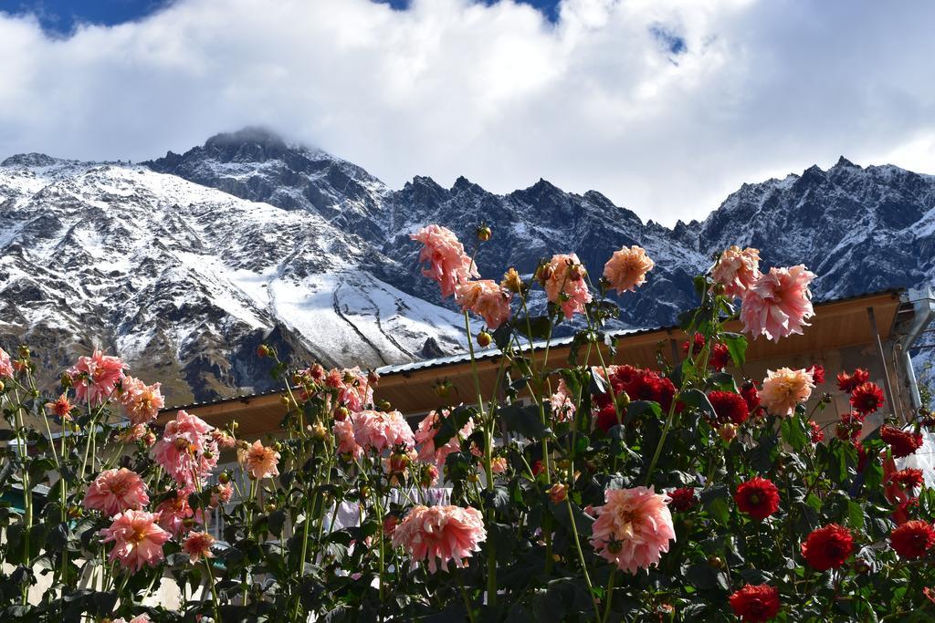 Qusha Guesthouse Meeting In The Mountains And Views Kazbegi Exterior foto
